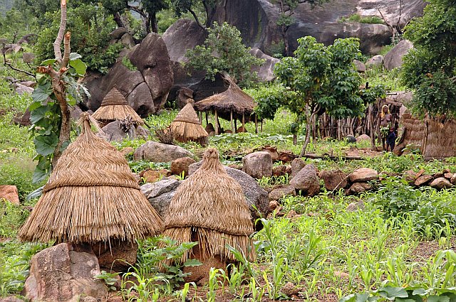 UNCOVERING CAMEROON